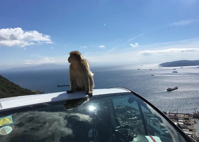 Deluxe In Royal Cabopino Townhouse